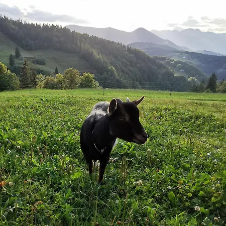 & Glamping Cenda Zelezniki